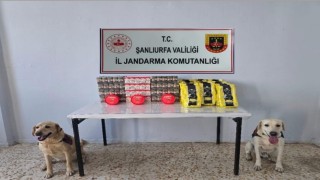 Şanlıurfada 3 bin paket kaçak sigara ele geçirildi