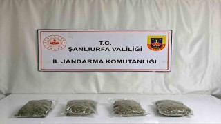 Şanlıurfada 6 kilo 260 gram uyuşturucu ele geçirildi