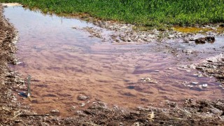 Şanlıurfada tarımsal su krizi derinleşiyor