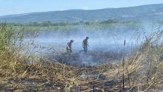 Sapanca Gölündeki sazlık alanda yangın çıktı