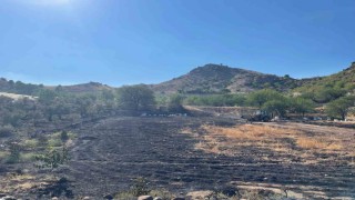 Sarıcakayadaki ot yangını ormana sıçramadan söndürüldü