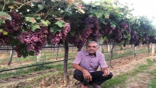 Sarıgöl Ziraat Odasından tarım işçilerine yeni ücret tarifesi