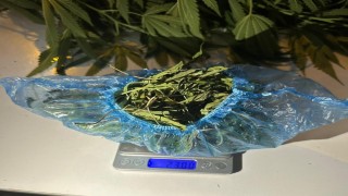 Sarıgölde jandarmadan uyuşturucu operasyonu: 1 gözaltı