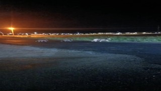 Sarıkamışta anne ayı ve yavrularının gece gezintisi kamerada