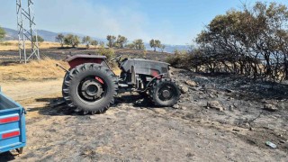 Şarköyde orman yangınında araçlar küle döndü