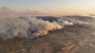 Şarköydeki orman yangını 22. saatine girdi