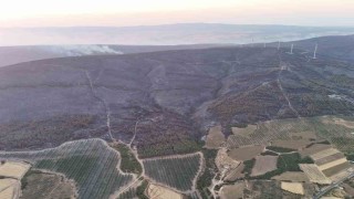 Şarköydeki orman yangını kontrol altına alındı