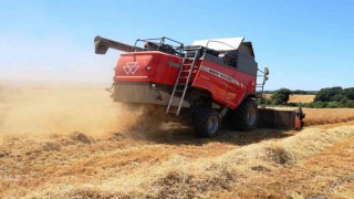 Sebzede lider, meyvede güçlü, tarımda marka şehir: Samsun