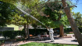 Selçuklu Belediyesi yeşil alan ilaçlamalarını dış mahallelerde de sürdürüyor