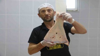 Selçukludan kalan gelenek asırlardır sürdürülüyor, büyülerden korunmak için kürek kemikleri kırılıyor