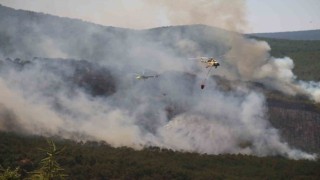 Seyitgazide çıkan yangın büyümeye devam ediyor