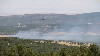 Seyitgazide orman yangınıyla ilgili açıklama