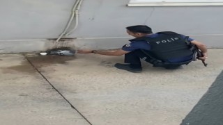 Sıcaktan bunalan güvercine polisten yardım eli