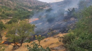 Siirtte çıkan yangında 2 dönüm arazi zarar gördü