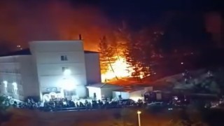 Siirtte düğünde atılan havai fişek yangına neden oldu