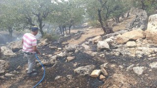 Siirtte orman yangını büyümeden söndürüldü