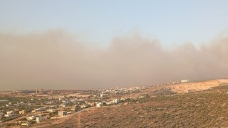 Silifkede orman yangını