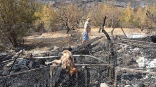 Silifkedeki orman yangını büyük ölçüde kontrol altına alındı