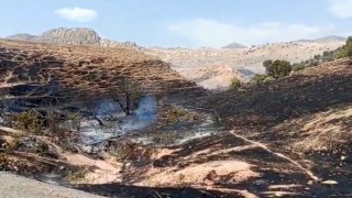 Silopide örtü yangını