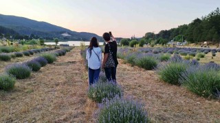 Simav Gölcük Yaylasındaki lavanta bahçesi doğal stüdyo alanı haline geldi