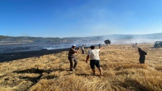Sinopta anız yangını: 60 balya saman kül oldu