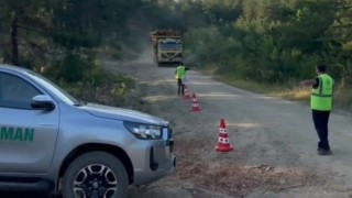 Sinopta orman kaçakçılığına karşı sıkı denetim