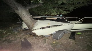 Sinopta virajı alamayan otomobil ağaca çarptı: 2 yaralı