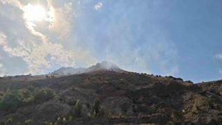 Sivasta çıkan orman yangını kısa sürede kontrol altına alındı