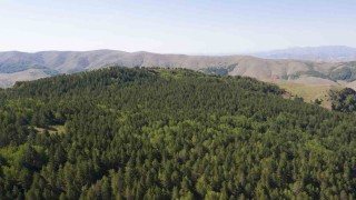 Sivasta ormanlara giriş yasaklandı