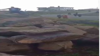 Siverekte 1 kişinin öldüğü aile kavgasının görüntüleri ortaya çıktı