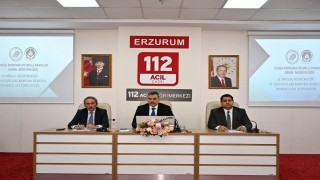 Sokak hayvanları mercek altında