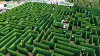 Soruları bilemeyen labirentten çıkamıyor