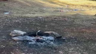 Sorumsuzluk yine az kalsın felaket getiriyordu