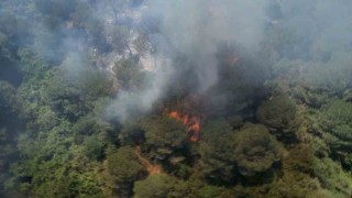 Sultangazi Kent Ormanında yangın: İtfaiye ekipleri alevlere müdahale ediyor