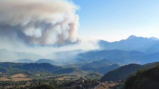 Suriyede devam eden orman yangını Türkiye sınırına ulaştı