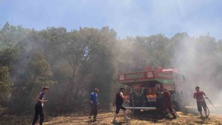 Susurlukta arazi yangını kontrol altına alındı