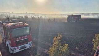 Susurluktaki orman yangını kontrol altına alındı