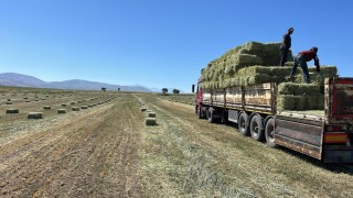 Talas Belediyesinden yem desteği