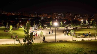 Talasta millet, daha açılmadan bahçesine akın etti