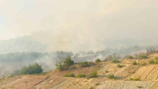 Tarihi İpek Yolu yanıyor