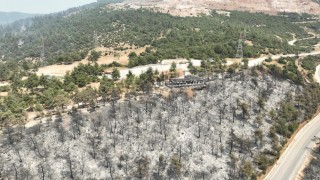 Tarihinin en büyük Gürsu yangınından yürek burkan bu manzaralar kaldı