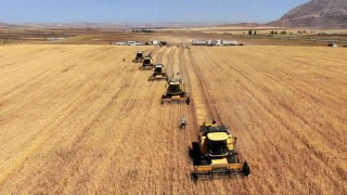 Tarım Girdi Fiyat Endeksi Mayıs 2025’te Yıllık %31,80 Arttı