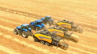 Tarım-ÜFE'de Haziran 2025 Rekoru: Yıllık Artış %50,31