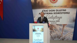 Tarım ve Orman Bakan Yardımcısı Gizligider: Türkiyede ortaya çıkan yangınların yüzde 83ü insan kaynaklı