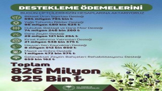 Tarım ve Orman Bakanlığından çiftçilere toplam 826 milyon lira destek