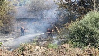 Taşınburnu mevkiindeki orman yangında soğutma çalışmaları sona erdi
