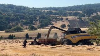 Tavşanlıda çiftçiler emeklerinin karşılığını almanın heyecanını yaşıyor