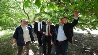 TBMM Zirai Don Araştırma Komisyonu Çivrilde meyve bahçelerini inceledi