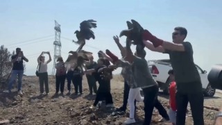 Tedavileri tamamlanan 11 yabani kuş doğaya salındı