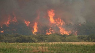 Tekirdağ Şarköy yangınında Çanakkale-Malkara otoyolunun Kavakköy kavşağı kısmında trafik akışı geçici olarak alternatif yollara yönlendiriliyor